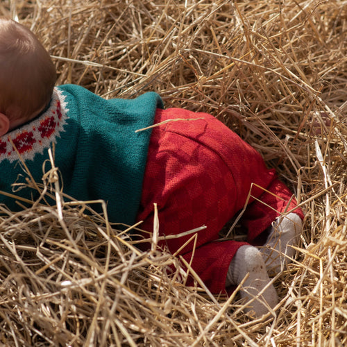 Rose Wool Cotton Baby Trousers