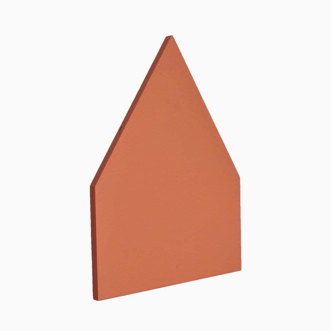 Paint Sample in ANTA Orange