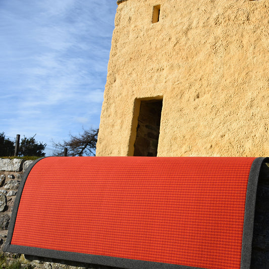 January '22: Vibrant Beginnings