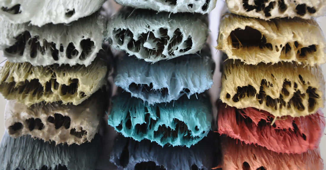 A Fresh Coat for the Colder Months