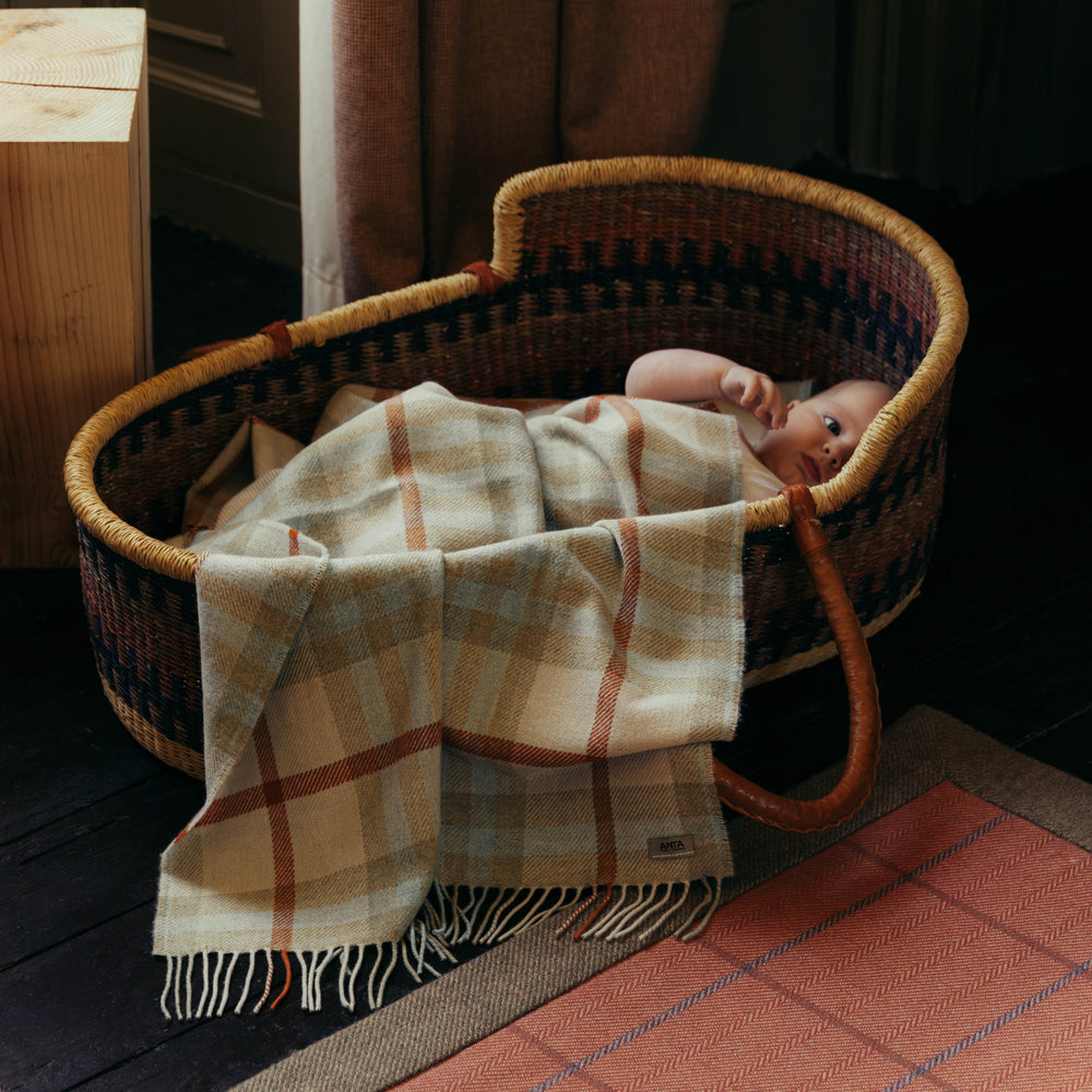 Frances Baby Blanket