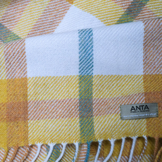 Gabriel Baby Blanket