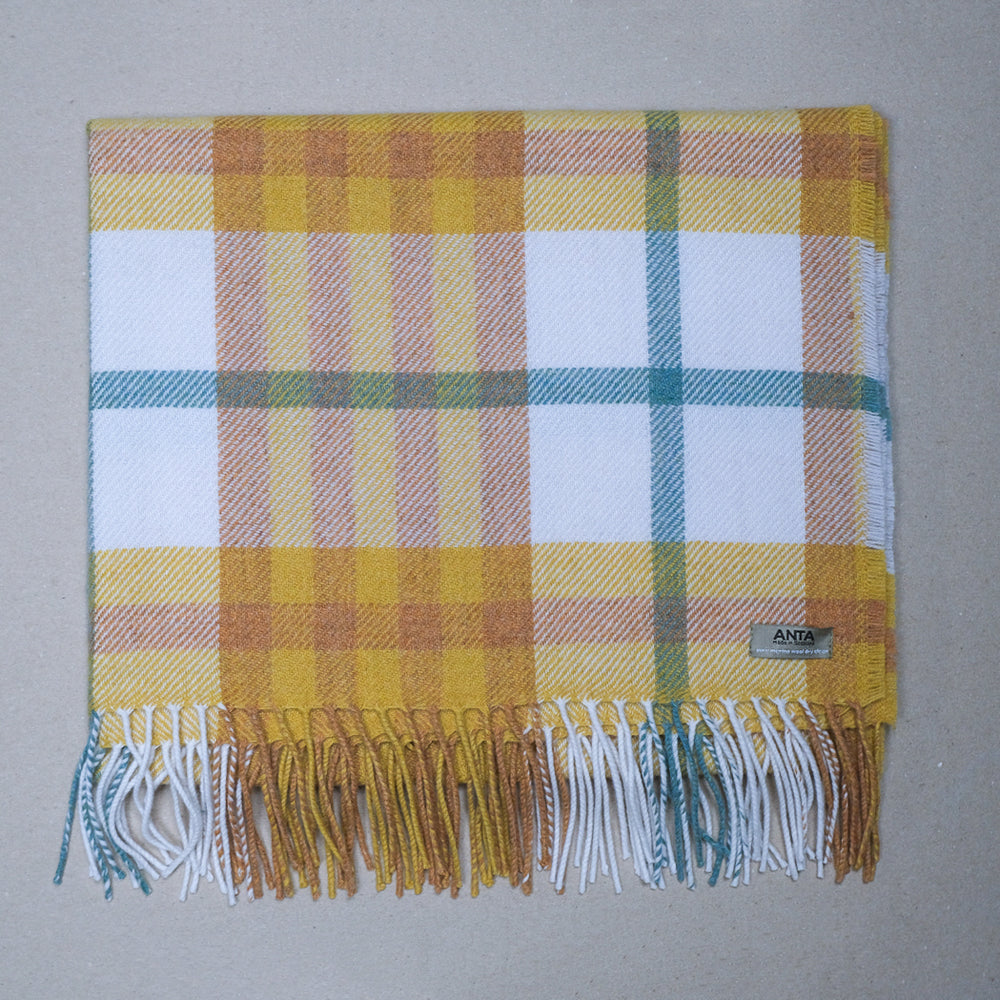 Gabriel Baby Blanket
