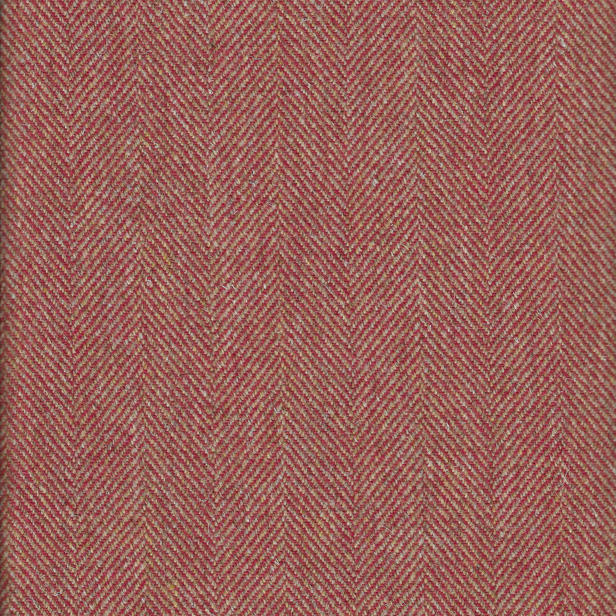 Red Kite Highland Tweed