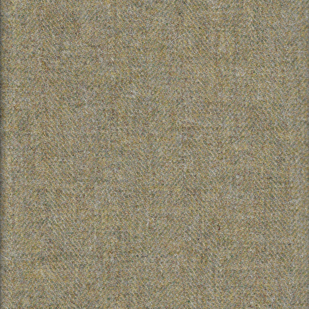 Marsh Harrier Highland Tweed Sample