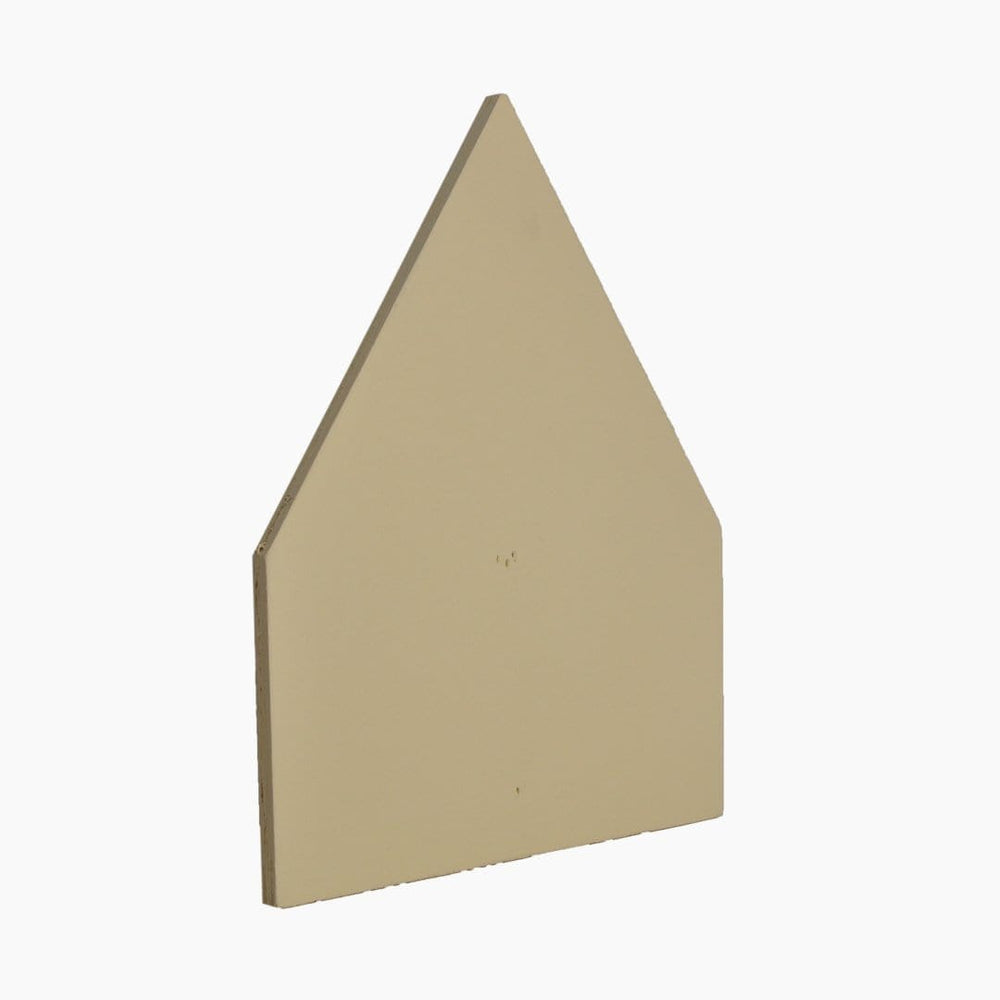 Paint Sample in ANTA Bone