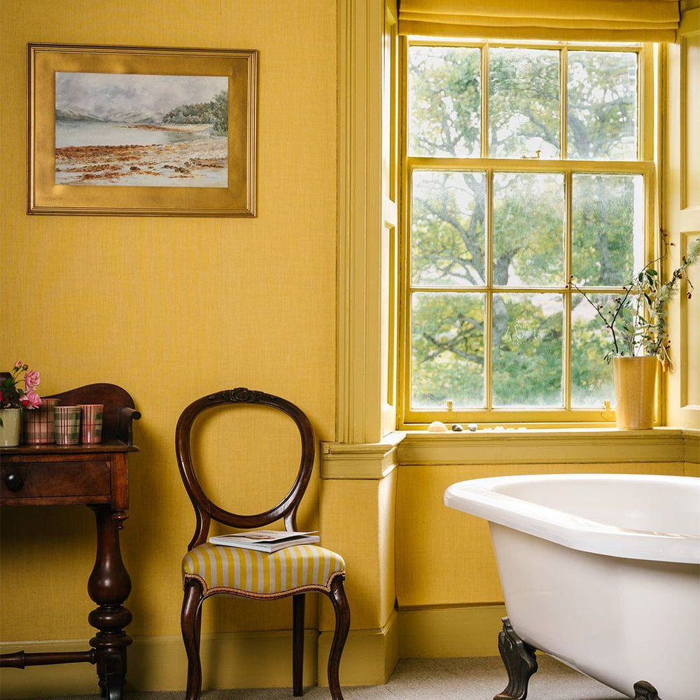 Paint Sample in ANTA Harvest Yellow